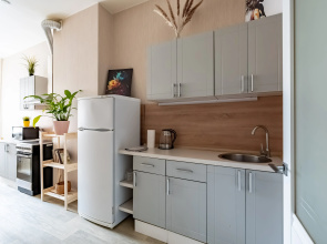 Апартаменты Sergeew Apartments в центре Васильевского острова