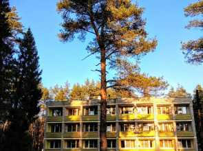 Санаторий Сосновый бор