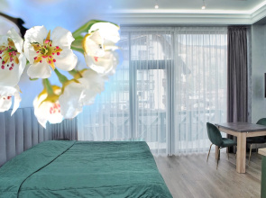 Apartamenty Studia s Panoramnym Vidom na Zasitnikov Kavkaza 114