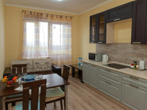 Апартаменты однокомнатные (137) Серебровская 91