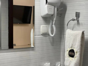 Отель Shosh Palace