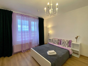 Квартира Студия Зеленая в Песочном