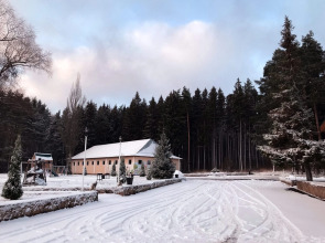 Отель Лесная Сказка