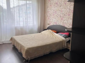 Квартира на Дворцовом переулке 12