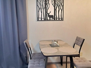 Апартаменты Квартира в центре Петрозаводска