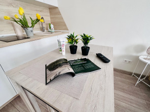 Апартаменты Стильная студия рядом с источниками.