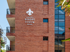 Отель Vinum