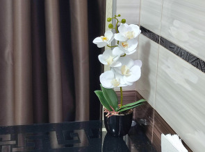 Апартаменты в самом центре Витебска с шикарным панорамным видом на площадь Победы