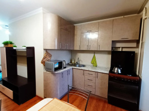 Квартира Комфортабельная однокомнатная квартира