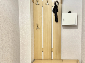 Квартира Zeninapart