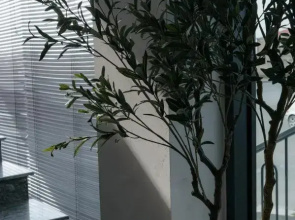 Aristo Boutique Hotel
