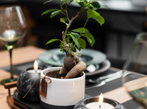 Квартира в Доходном доме купца Конконена