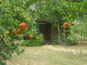 Kibala Hotel 