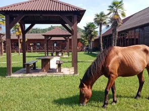 Ldzaa Guest house