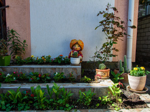 Гостевой дом Морская Ладья