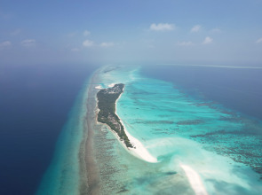 Island Luxury Boutique Hotel, Fulhadhoo