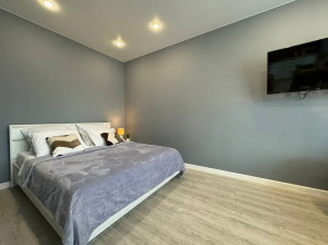 Апартаменты СИБИРЬ HOUSE   Люкс напротив Московской площади