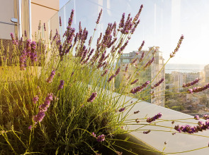 Апартаменты с балконом в ЖК Метрополь