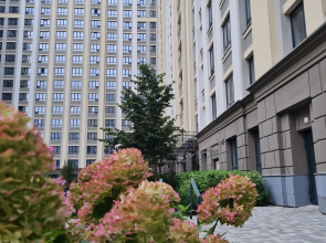 Квартира Яркая, свежая квартира в новом жилом комплексе Федерация