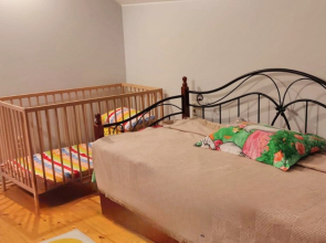 Частный Дом с Беседкой на Проспекте Дзержинского 25