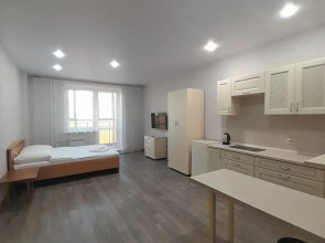Studiya Pereulok Svetlogorskiy Apartments