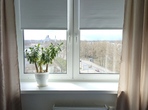 Квартира на берегу Невы