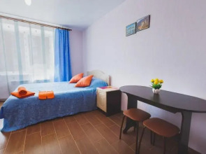 Апартаменты на Савиных 4а