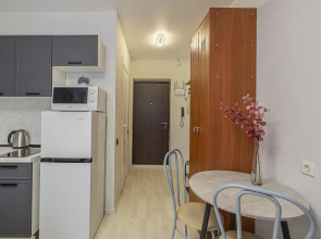 Квартира Студия "Стрелка" на ул. Бурнаковская 83