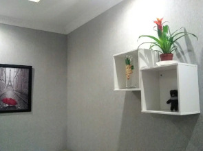 Апартаменты элитные на переулке Трудолюбия с джакузи