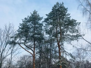 Квартира DailyRent-NN Апартаменты в ЖК Маленькая страна