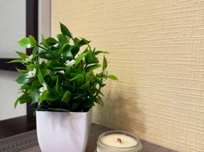 Квартира Однокомнатная на Тигровой