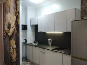 Квартира на Улице Большой Санкт-Петербургской 124Б