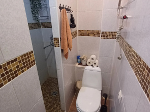 Апартаменты Чайка House на Нижегородская 10