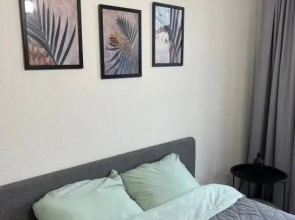 Квартира 1 в самом центре Ярославля 1