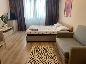 Studiya S Vidom Na Pokrovskiy Ugol Flat