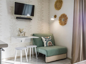 Студия на Московском шоссе 167, ЖК Москва-Град. Сова-Дом