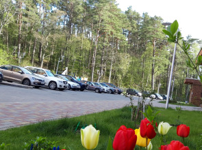 Апартаменты Синяя Птица