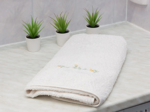 Апартаменты Ленина 15