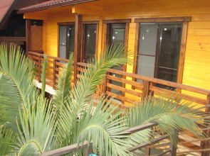 Olimpiyskiy Park Adler Pereulok Ivovy 8  Guest House
