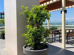 Гостевой дом Лофт