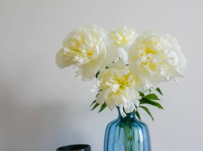 Квартира 1Комнатная на Пригородной