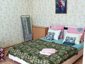 Kvartira Bol'saa odnuska v centre radom s parkom, gorbol'nicej, FOKom i vuzami
