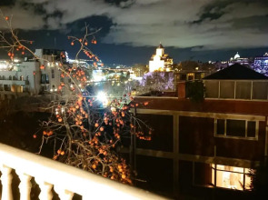 Отель Gvino Minda