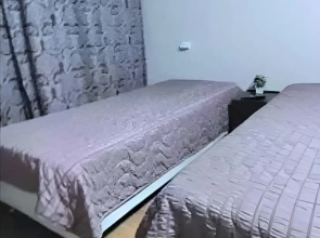 V Tsentre Apartments