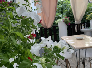 Гостевой дом Инжир