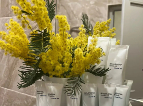 Мини-отель Мэри