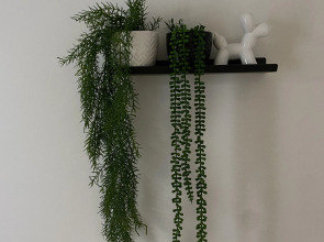 Апартаменты Зелёная квартира с потрясающим видом