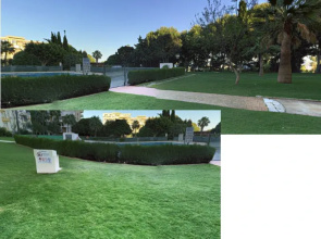 Costa del Sol Apartments