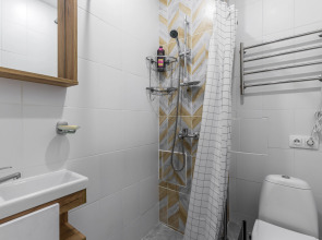 Апартаменты Стильные Loft Flats&Rooms Vnukovo 1