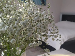 Апартаменты на улице Королева